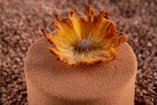 Smart-Deserts-4